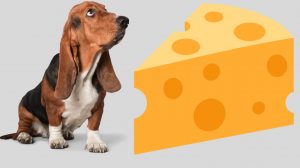 Can Dogs Eat Cheese? Safe Types For Dogs